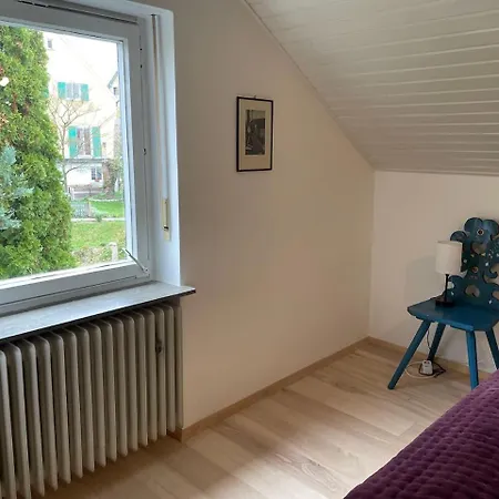 公寓 Opas Haus Maxhutte-Haidhof