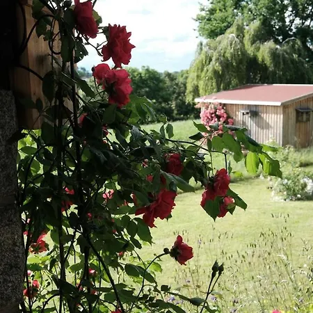 Apartament Opas Haus